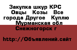 Закупка шкур КРС , Овцы , Козы - Все города Другое » Куплю   . Мурманская обл.,Снежногорск г.